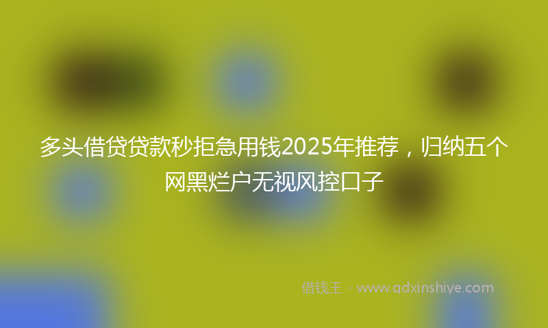 多头借贷贷款秒拒急用钱2025年推荐，归纳五个网黑烂户无视风控口子