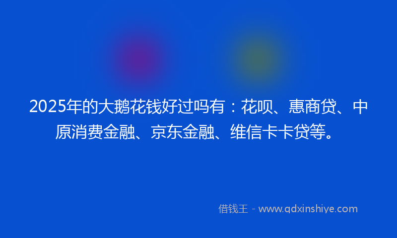 2025年的大鹅花钱好过吗有：花呗、惠商贷、中原消费金融、京东金融、维信卡卡贷等。