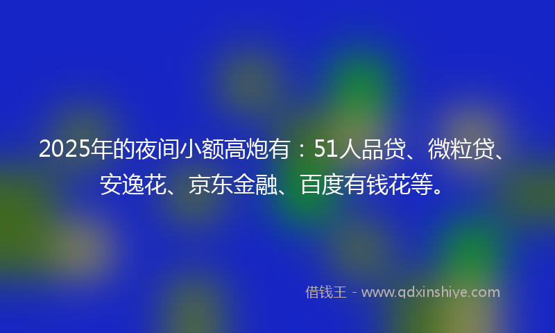 2025年的夜间小额高炮有：51人品贷、微粒贷、安逸花、京东金融、百度有钱花等。