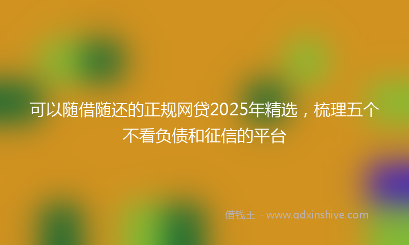 可以随借随还的正规网贷2025年精选，梳理五个不看负债和征信的平台