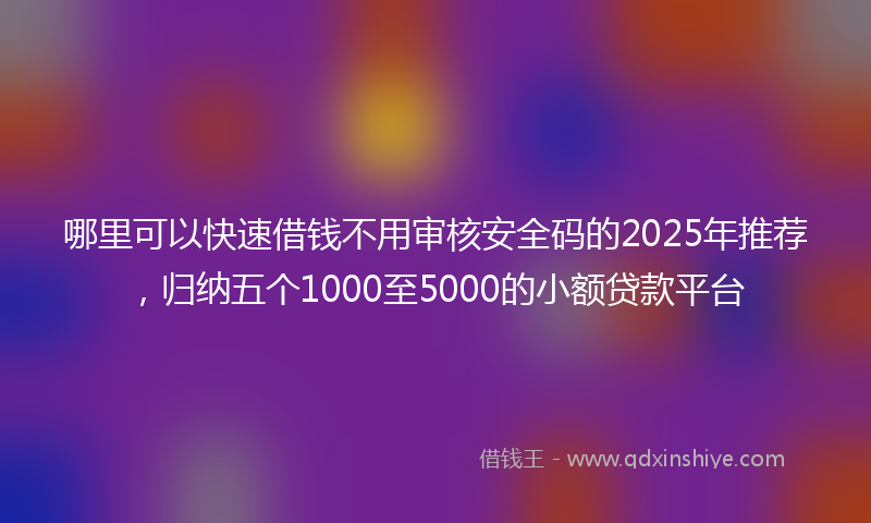 哪里可以快速借钱不用审核安全码的2025年推荐，归纳五个1000至5000的小额贷款平台