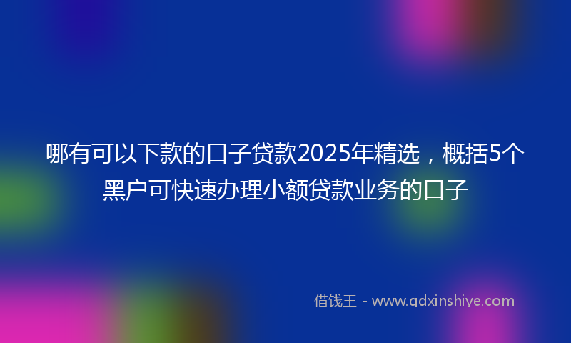 哪有可以下款的口子贷款2025年精选，概括5个黑户可快速办理小额贷款业务的口子