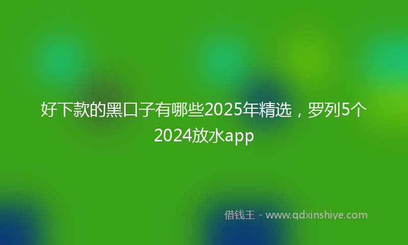 好下款的黑口子有哪些2025年精选，罗列5个2024放水app