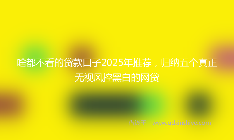 啥都不看的贷款口子2025年推荐，归纳五个真正无视风控黑白的网贷