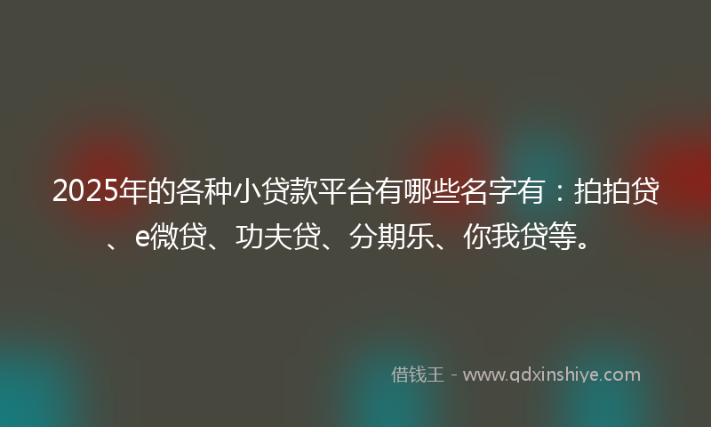 2025年的各种小贷款平台有哪些名字有：拍拍贷、e微贷、功夫贷、分期乐、你我贷等。