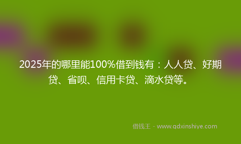 2025年的哪里能100%借到钱有：人人贷、好期贷、省呗、信用卡贷、滴水贷等。