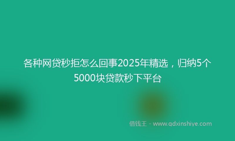 各种网贷秒拒怎么回事2025年精选，归纳5个5000块贷款秒下平台
