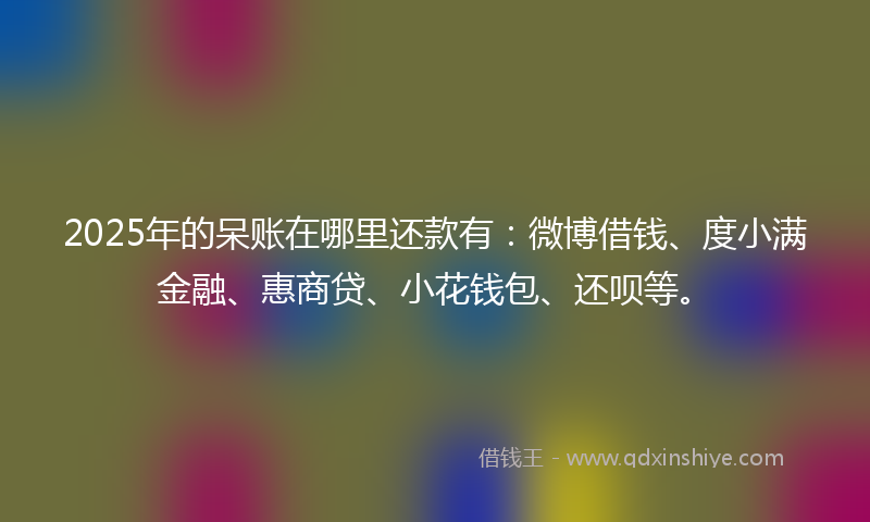 2025年的呆账在哪里还款有：微博借钱、度小满金融、惠商贷、小花钱包、还呗等。