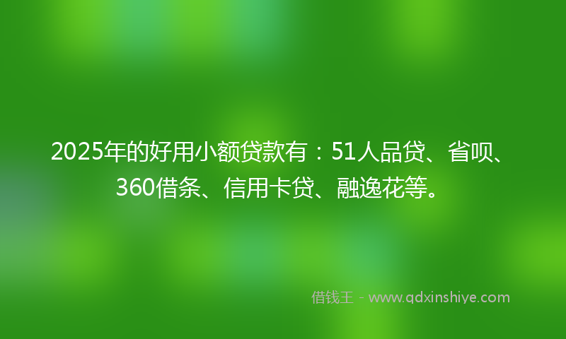2025年的好用小额贷款有：51人品贷、省呗、360借条、信用卡贷、融逸花等。