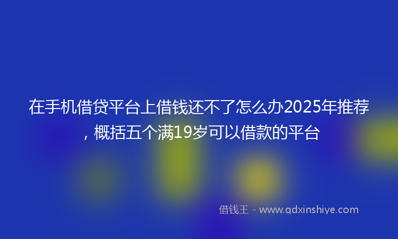 在手机借贷平台上借钱还不了怎么办2025年推荐，概括五个满19岁可以借款的平台