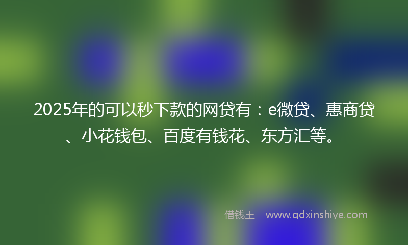 2025年的可以秒下款的网贷有：e微贷、惠商贷、小花钱包、百度有钱花、东方汇等。