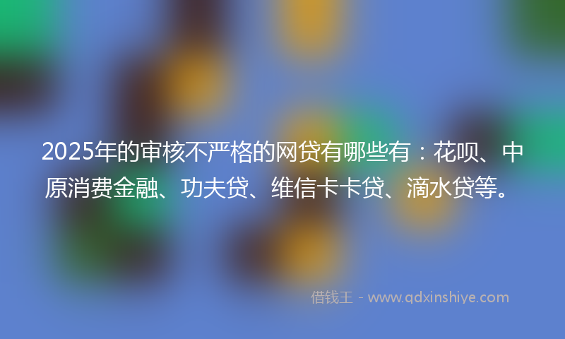 2025年的审核不严格的网贷有哪些有：花呗、中原消费金融、功夫贷、维信卡卡贷、滴水贷等。