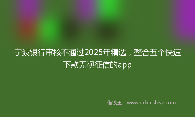宁波银行审核不通过2025年精选，整合五个快速下款无视征信的app