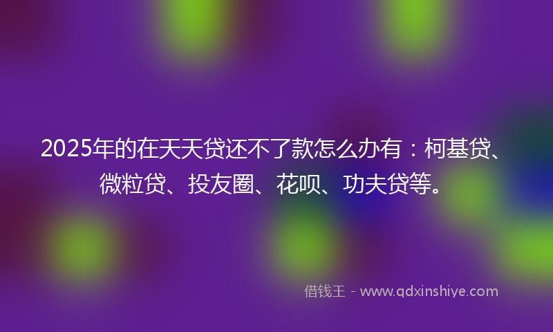 2025年的在天天贷还不了款怎么办有：柯基贷、微粒贷、投友圈、花呗、功夫贷等。