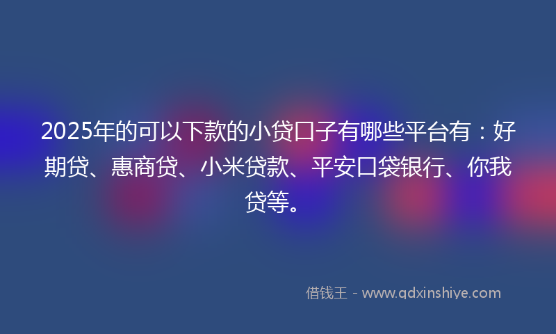 2025年的可以下款的小贷口子有哪些平台有：好期贷、惠商贷、小米贷款、平安口袋银行、你我贷等。