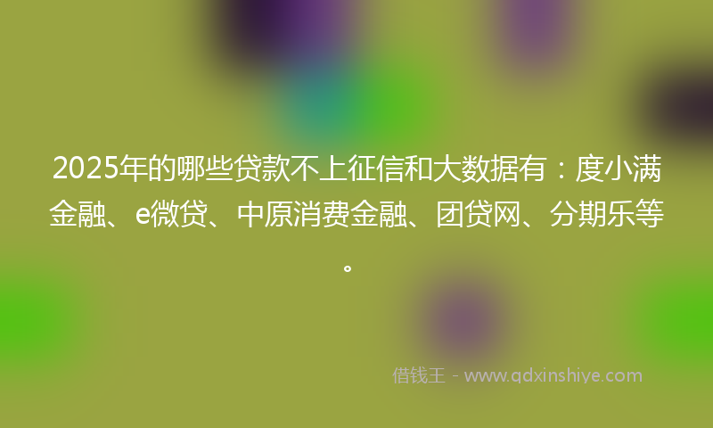 2025年的哪些贷款不上征信和大数据有：度小满金融、e微贷、中原消费金融、团贷网、分期乐等。