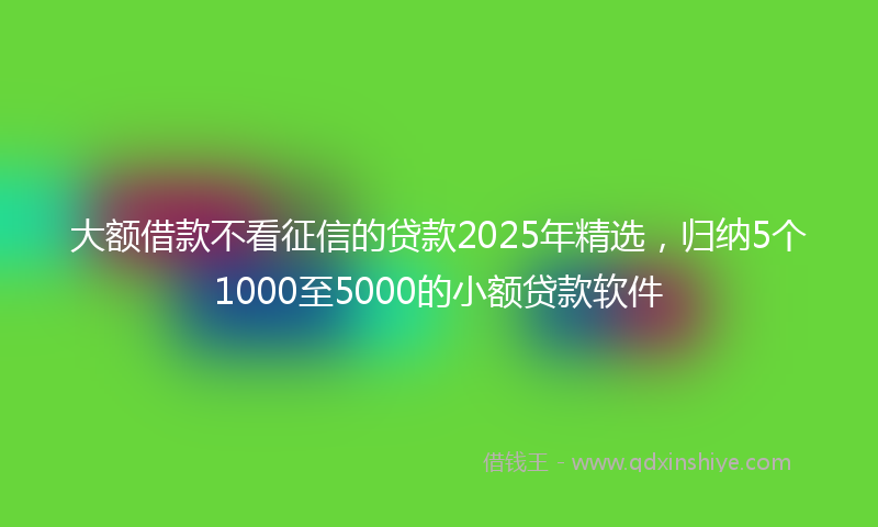 大额借款不看征信的贷款2025年精选，归纳5个1000至5000的小额贷款软件
