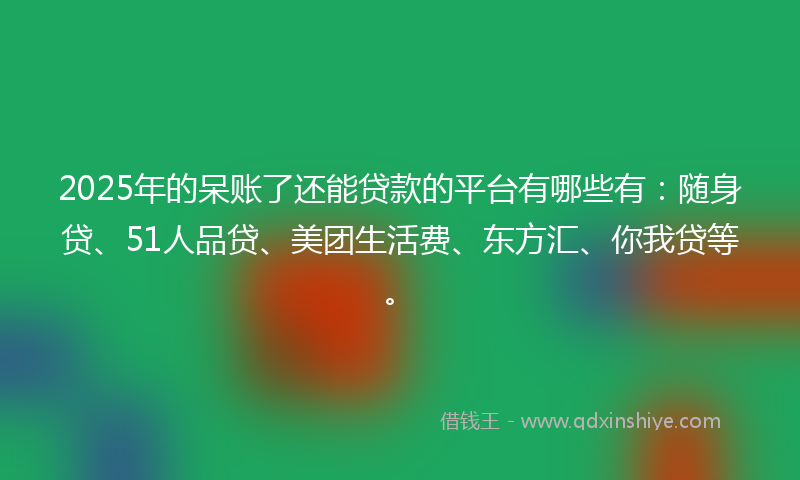 2025年的呆账了还能贷款的平台有哪些有：随身贷、51人品贷、美团生活费、东方汇、你我贷等。