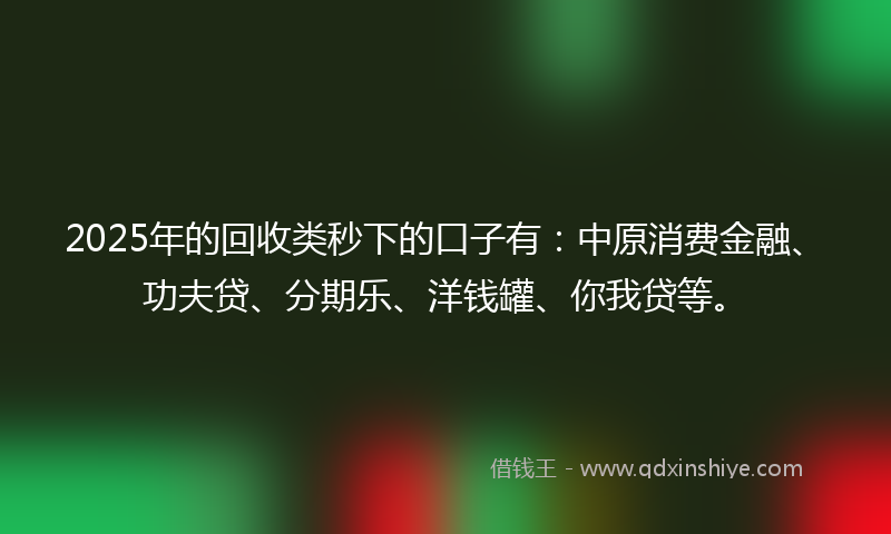 2025年的回收类秒下的口子有：中原消费金融、功夫贷、分期乐、洋钱罐、你我贷等。