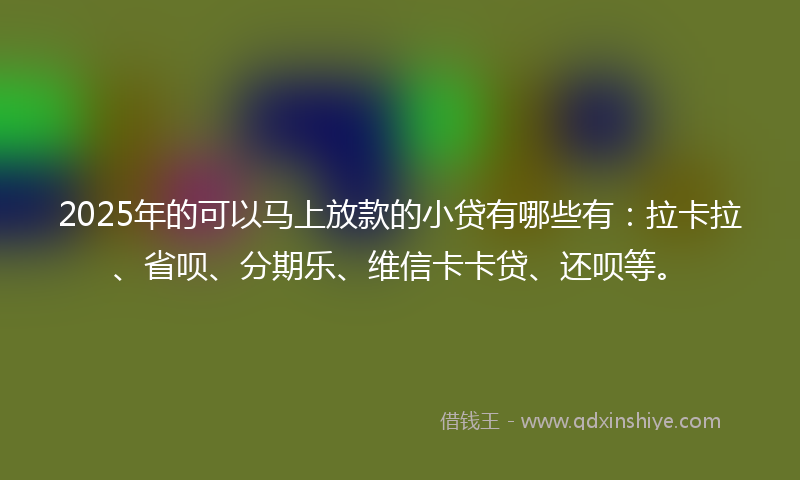 2025年的可以马上放款的小贷有哪些有：拉卡拉、省呗、分期乐、维信卡卡贷、还呗等。