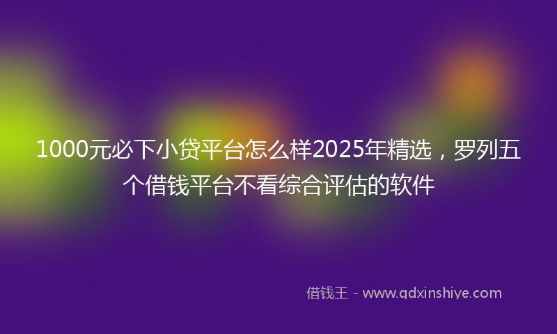 1000元必下小贷平台怎么样2025年精选，罗列五个借钱平台不看综合评估的软件