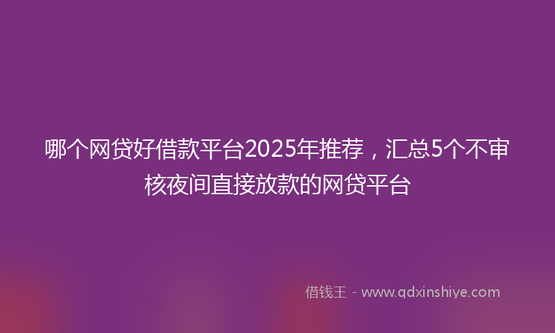 哪个网贷好借款平台2025年推荐，汇总5个不审核夜间直接放款的网贷平台