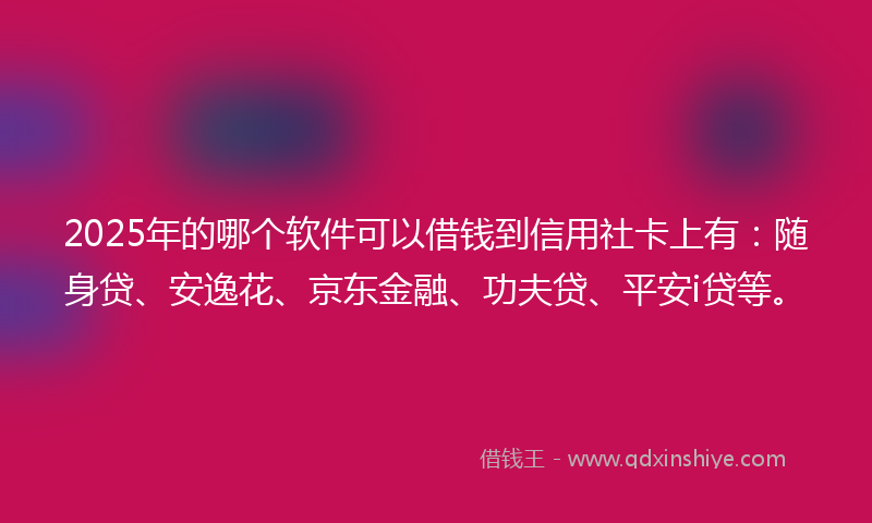 2025年的哪个软件可以借钱到信用社卡上有：随身贷、安逸花、京东金融、功夫贷、平安i贷等。