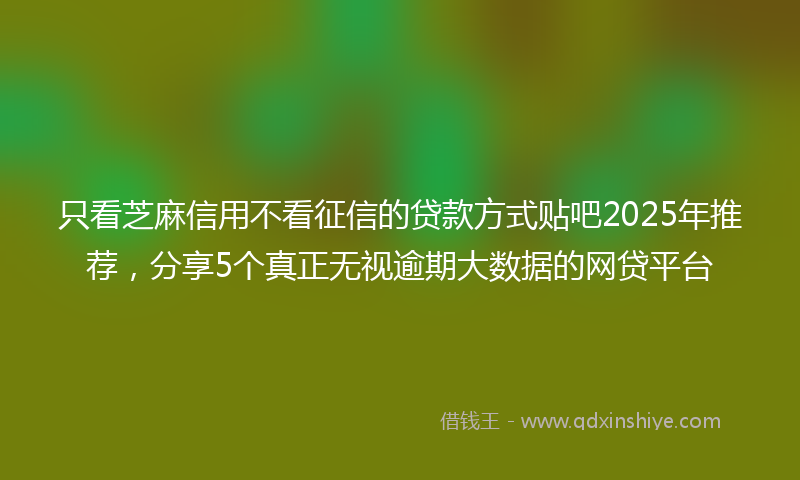 只看芝麻信用不看征信的贷款方式贴吧2025年推荐，分享5个真正无视逾期大数据的网贷平台
