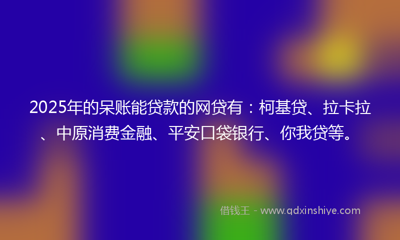 2025年的呆账能贷款的网贷有：柯基贷、拉卡拉、中原消费金融、平安口袋银行、你我贷等。