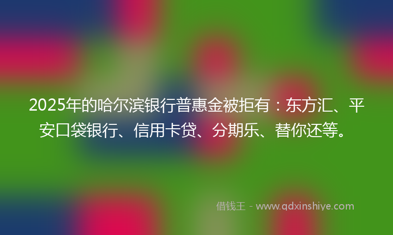 2025年的哈尔滨银行普惠金被拒有：东方汇、平安口袋银行、信用卡贷、分期乐、替你还等。