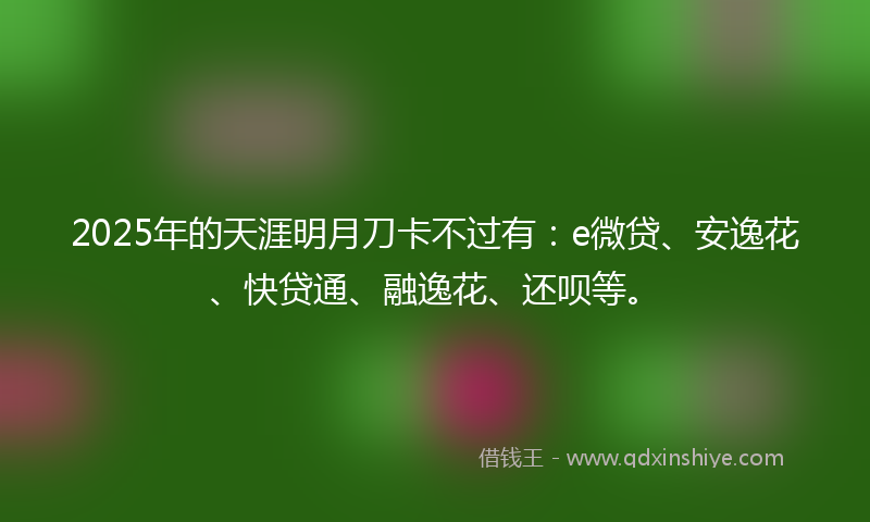 2025年的天涯明月刀卡不过有：e微贷、安逸花、快贷通、融逸花、还呗等。