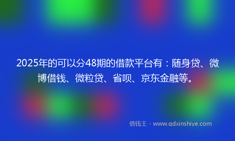 2025年的可以分48期的借款平台有：随身贷、微博借钱、微粒贷、省呗、京东金融等。