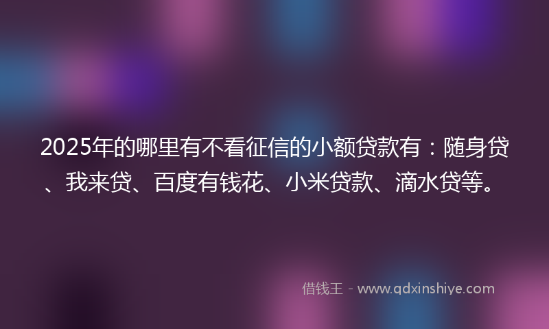 2025年的哪里有不看征信的小额贷款有：随身贷、我来贷、百度有钱花、小米贷款、滴水贷等。