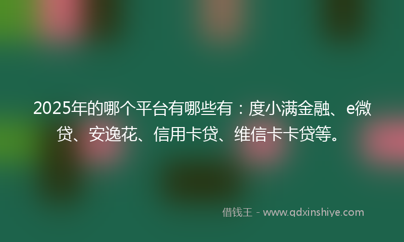 2025年的哪个平台有哪些有：度小满金融、e微贷、安逸花、信用卡贷、维信卡卡贷等。
