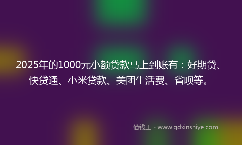 2025年的1000元小额贷款马上到账有：好期贷、快贷通、小米贷款、美团生活费、省呗等。