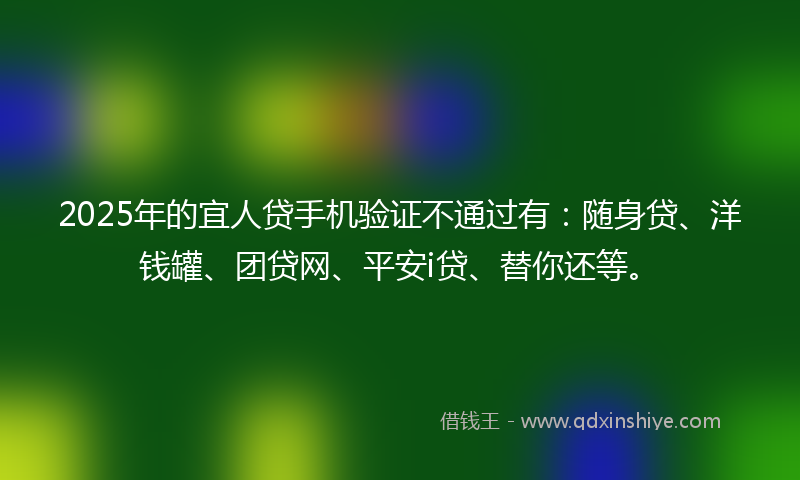 2025年的宜人贷手机验证不通过有：随身贷、洋钱罐、团贷网、平安i贷、替你还等。