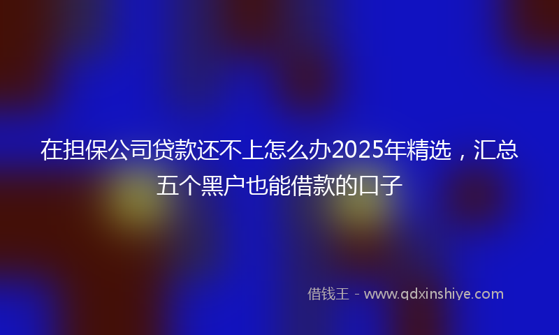 在担保公司贷款还不上怎么办2025年精选，汇总五个黑户也能借款的口子