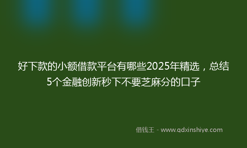 好下款的小额借款平台有哪些2025年精选，总结5个金融创新秒下不要芝麻分的口子