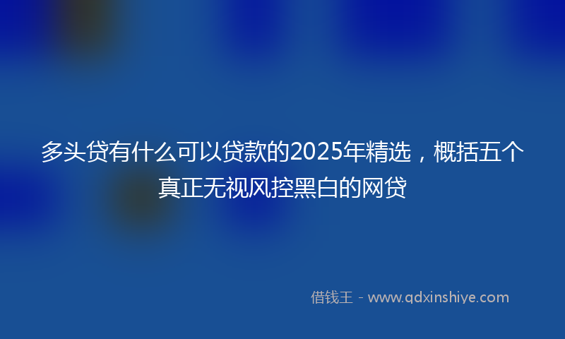 多头贷有什么可以贷款的2025年精选，概括五个真正无视风控黑白的网贷