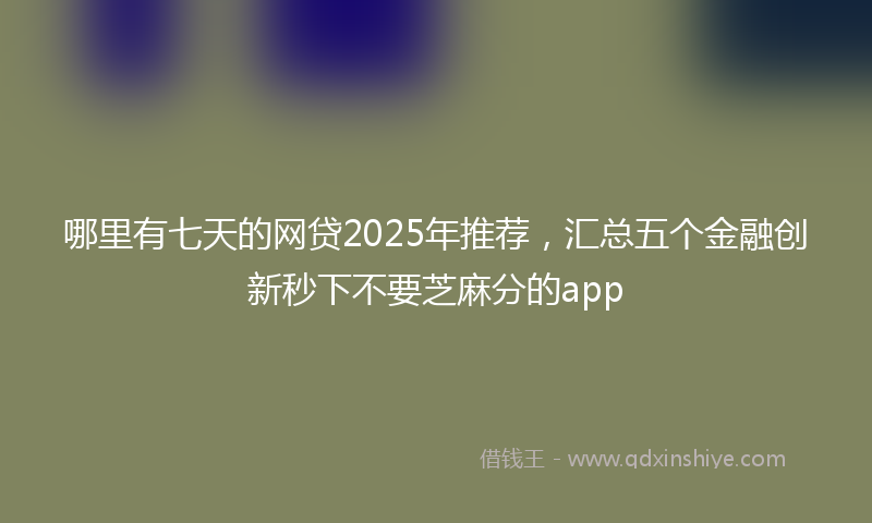 哪里有七天的网贷2025年推荐，汇总五个金融创新秒下不要芝麻分的app