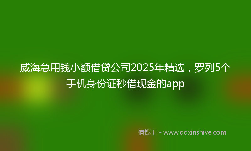 威海急用钱小额借贷公司2025年精选，罗列5个手机身份证秒借现金的app
