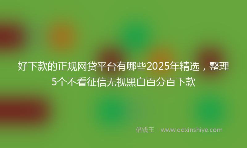 好下款的正规网贷平台有哪些2025年精选，整理5个不看征信无视黑白百分百下款