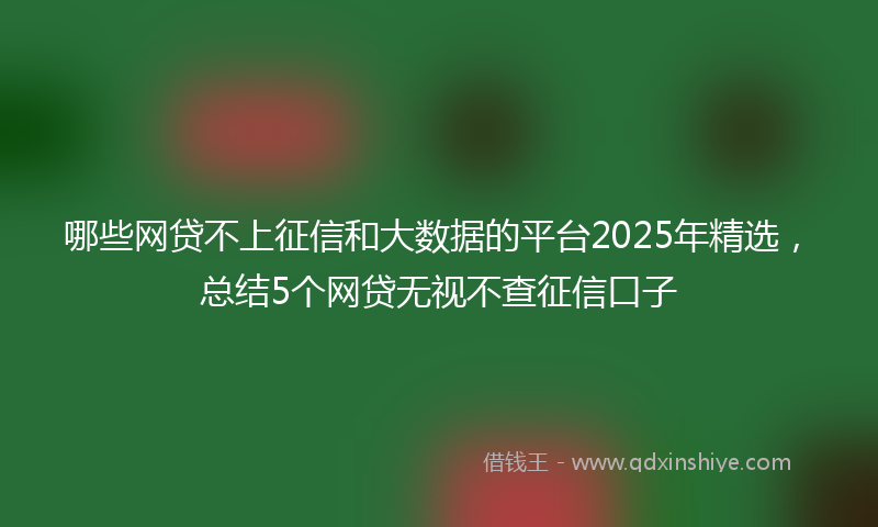 哪些网贷不上征信和大数据的平台2025年精选，总结5个网贷无视不查征信口子