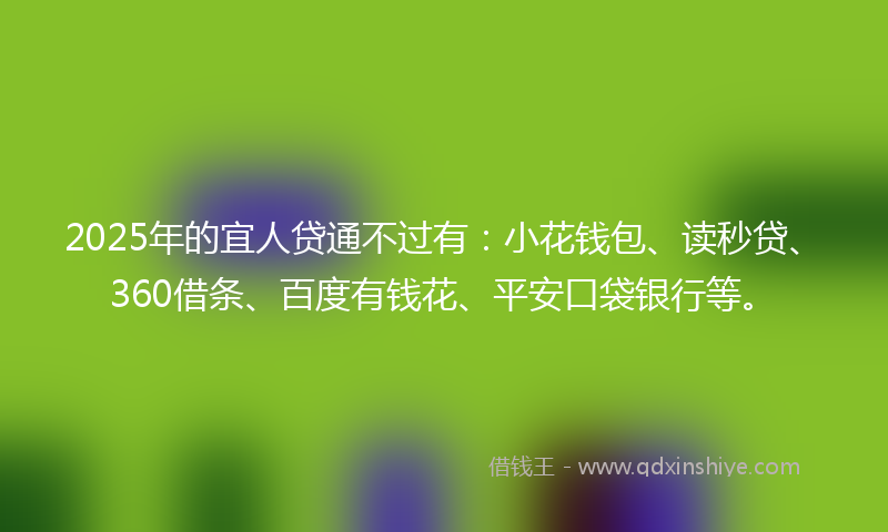2025年的宜人贷通不过有：小花钱包、读秒贷、360借条、百度有钱花、平安口袋银行等。