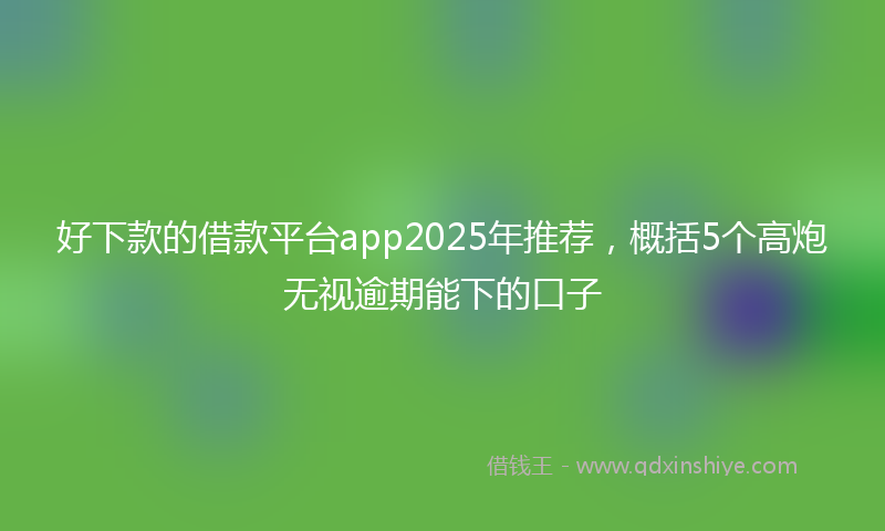 好下款的借款平台app2025年推荐，概括5个高炮无视逾期能下的口子