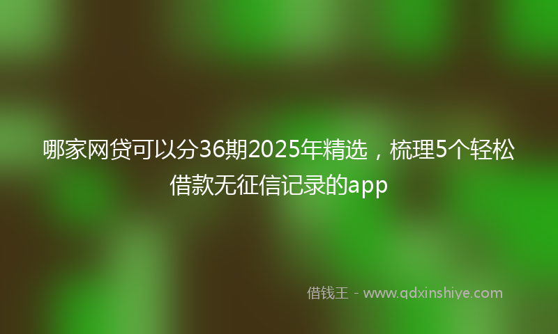 哪家网贷可以分36期2025年精选，梳理5个轻松借款无征信记录的app