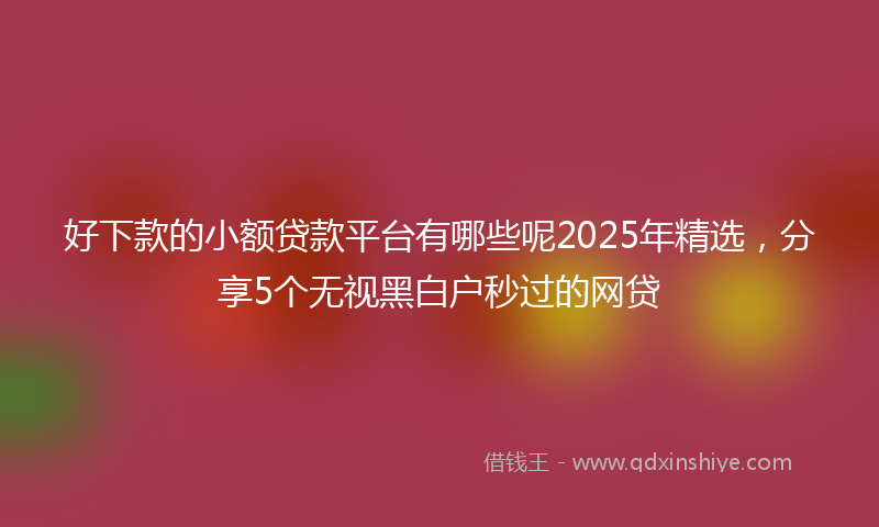 好下款的小额贷款平台有哪些呢2025年精选，分享5个无视黑白户秒过的网贷