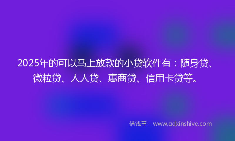 2025年的可以马上放款的小贷软件有：随身贷、微粒贷、人人贷、惠商贷、信用卡贷等。