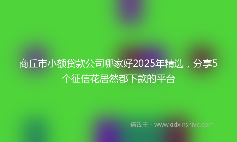 商丘市小额贷款公司哪家好2025年精选，分享5个征信花居然都下款的平台