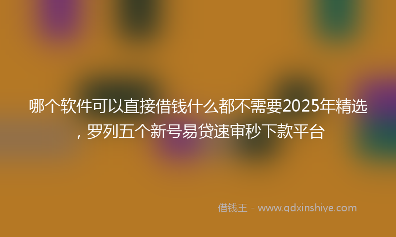 哪个软件可以直接借钱什么都不需要2025年精选，罗列五个新号易贷速审秒下款平台